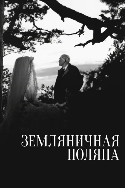 Земляничная поляна