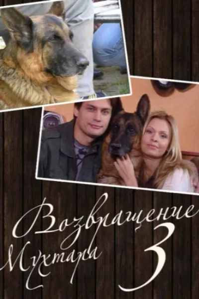 Возвращение Мухтара 3