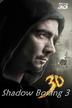 Бой с тенью 3: Последний раунд