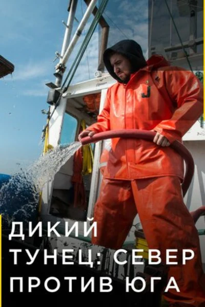 Дикий тунец: Север против Юга
