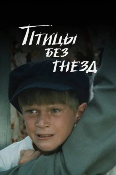 Птицы без гнезд